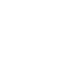 icon-www-3